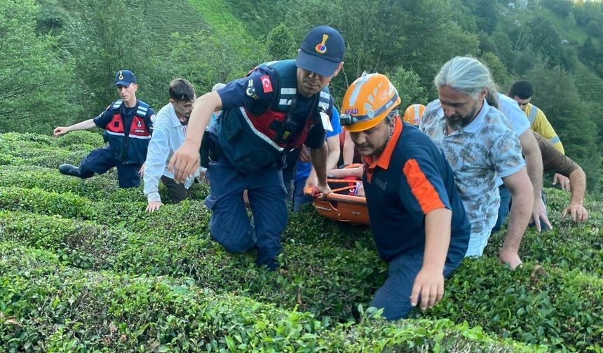 Çayeli’nde çaylık arazide mahsur kalan kadın ekiplerin müdahalesiyle kurtarıldı
