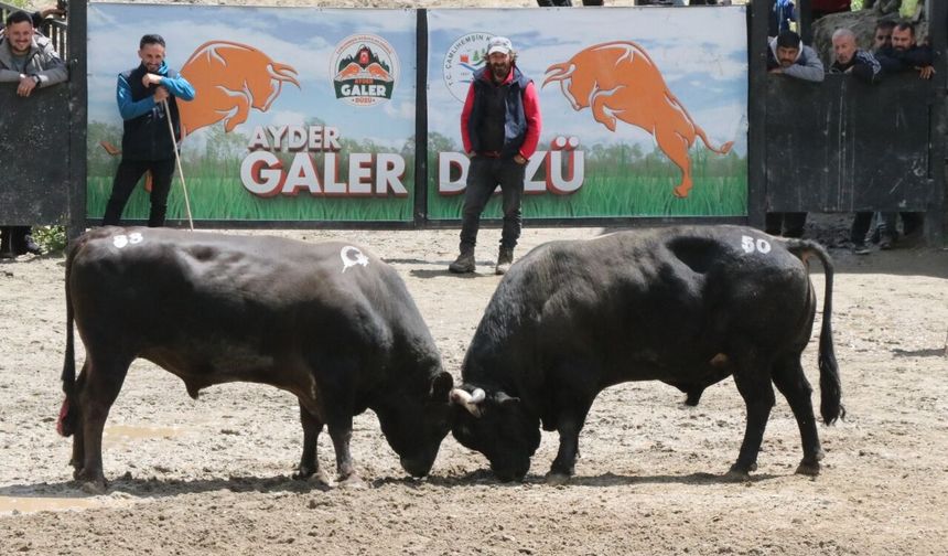Rize'de "30. Çamlıhemşin Ayder Kültür, Sanat ve Doğa Festivali" sona erdi