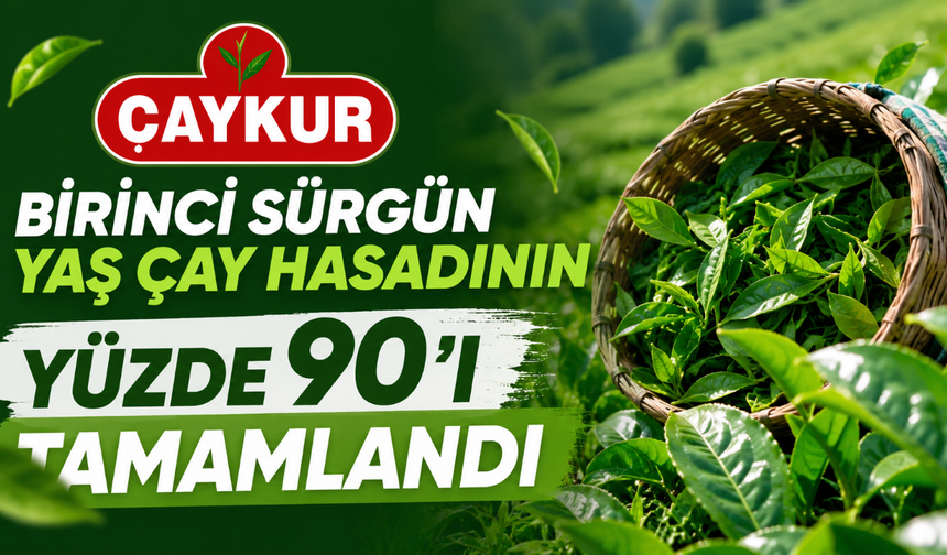 ÇAYKUR’dan üreticilere uyarı: Kalan çaylar kontrollü hasat edilsin
