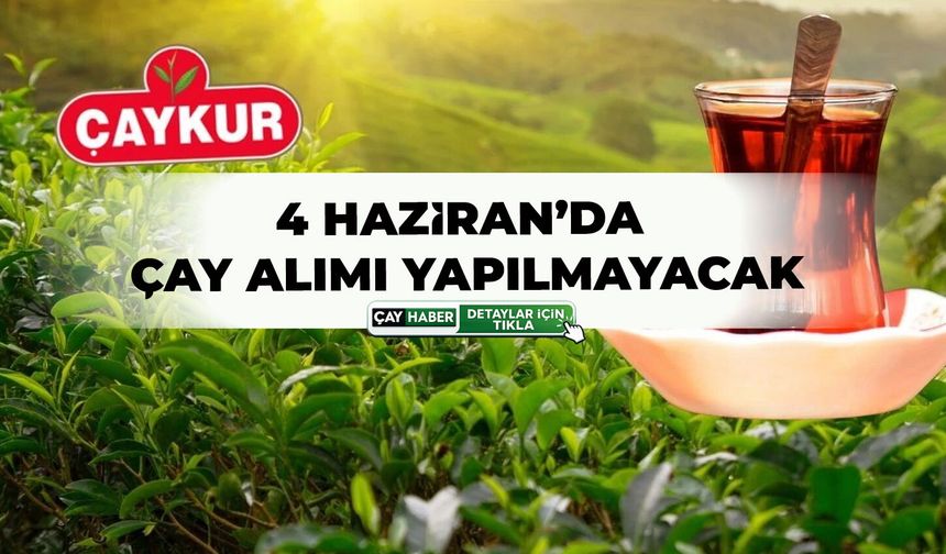 ÇAYKUR’dan Yaş Çay Alımlarına Bir Günlük Ara Kararı