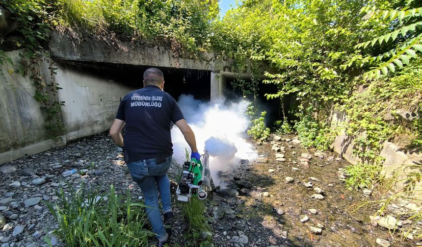 Rize Belediyesi’nden Sivrisinek ve Haşereye Karşı Yoğun Mesai