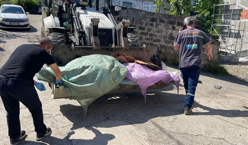 Rize’de 11 Büyükbaş Hayvanda Tüberküloz Tespit Edildi