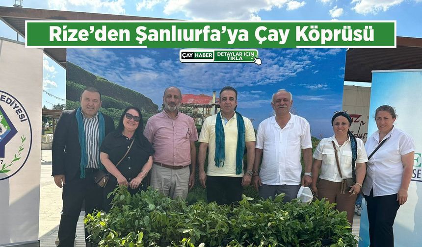 Rize Kent Konseyi’nden Şanlıurfa’da “Çay Köprüsü” Etkinliği