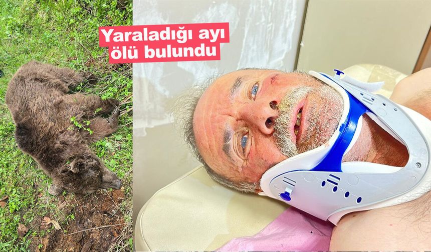 Saldırısına nacakla direnmişti; yaraladığı ayı ölü bulundu