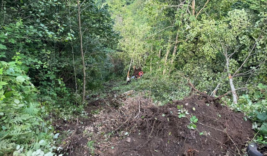 Rize'de uçuruma yuvarlanan iş makinesinin operatörü yaralandı