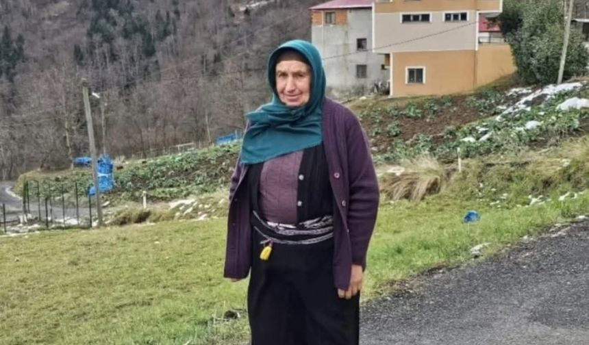 Trabzon 'ot biçme' kavgasında yaralanan annenin tedavisi sürüyor