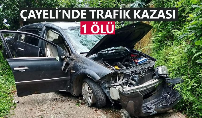 Çayeli’nde feci kaza: 1 kişi hayatını kaybetti, 3 yaralı