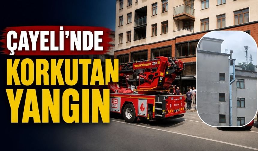 Çayeli’nde korkutan yangın: Lokantanın bacası alev aldı