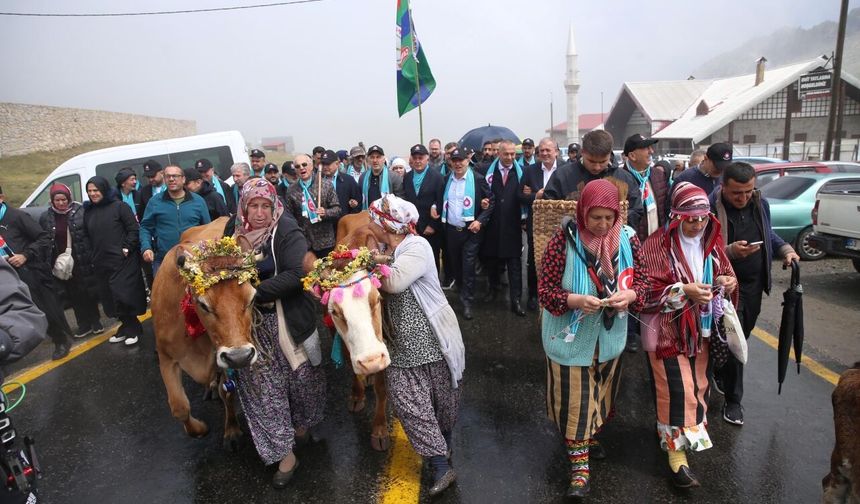 2 bin 640 rakımlı yayladaki şenlikte "inek ve buzağı güzellik yarışması" yapıldı