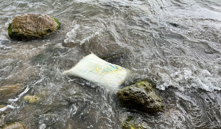 Karadeniz'de kıyıya vuran konteynerde inceleme