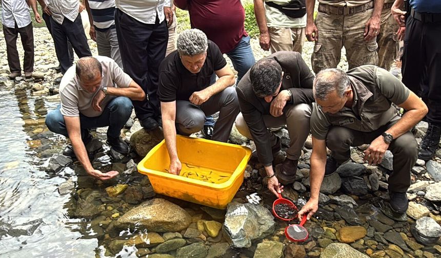 Rize'de derelere 25 bin kırmızı benekli alabalık salındı