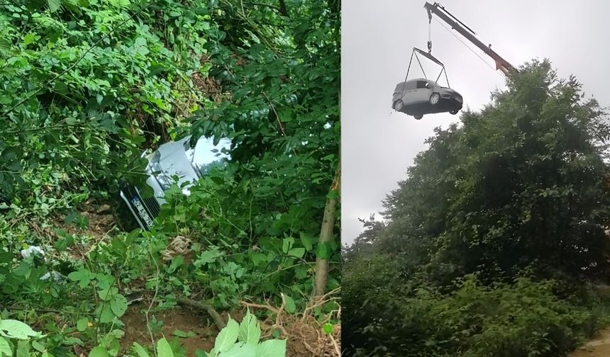 Çayeli'nde Otomobil Uçuruma Yuvarlandı: Araçta Bulunan Baba Oğul Yaralandı