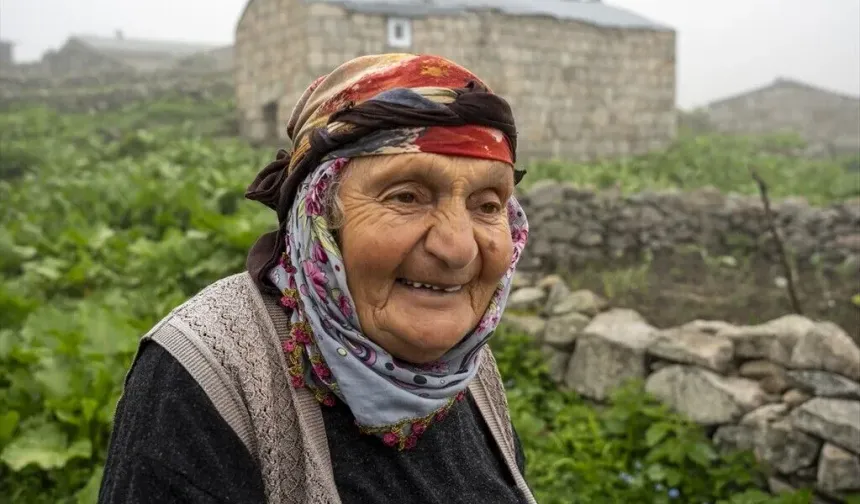 Kaçkar dağlarının yüksek rakımlı yaylalarında günlük yaşam