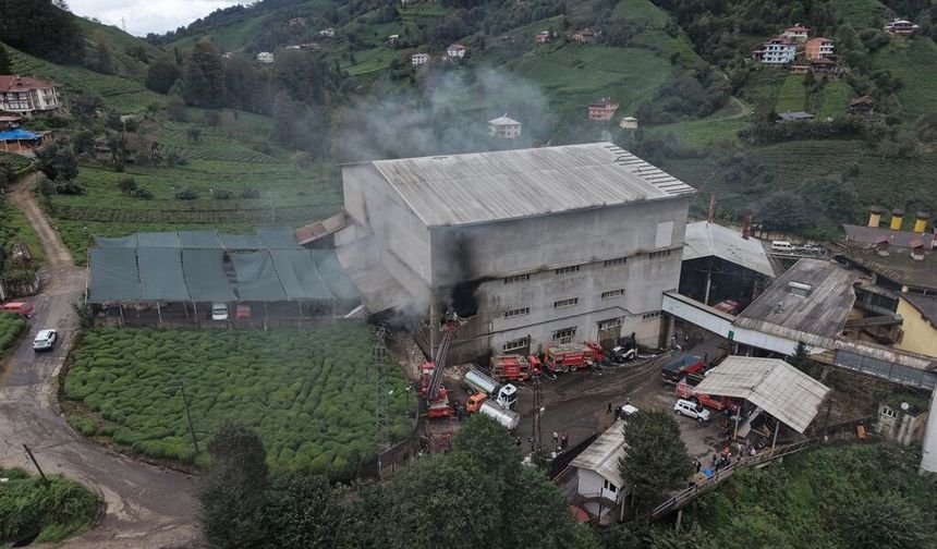 Çayeli'nde çay fabrikasında çıkan yangın kontrol altına alındı