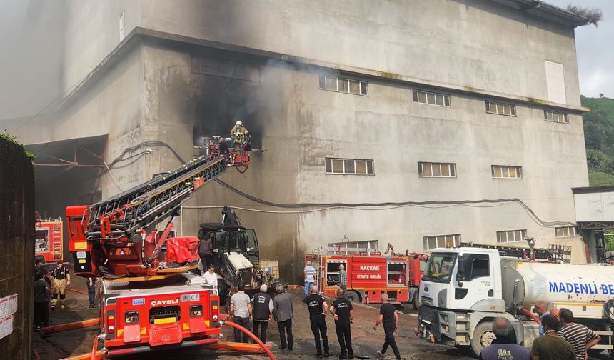 Rize’nin Çayeli ilçesinde çay fabrikasında yangın meydana geldi