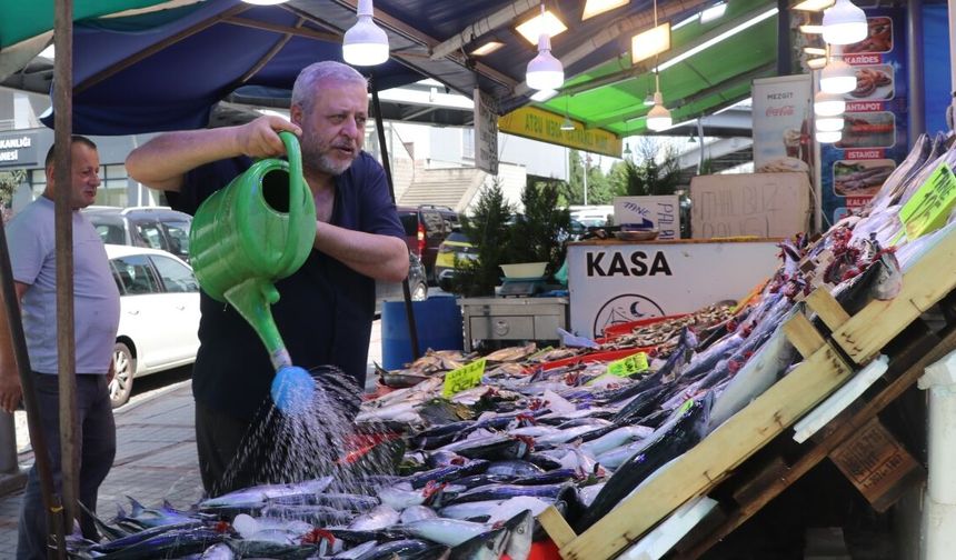 Rize'de de tezgahlar palamutla doldu