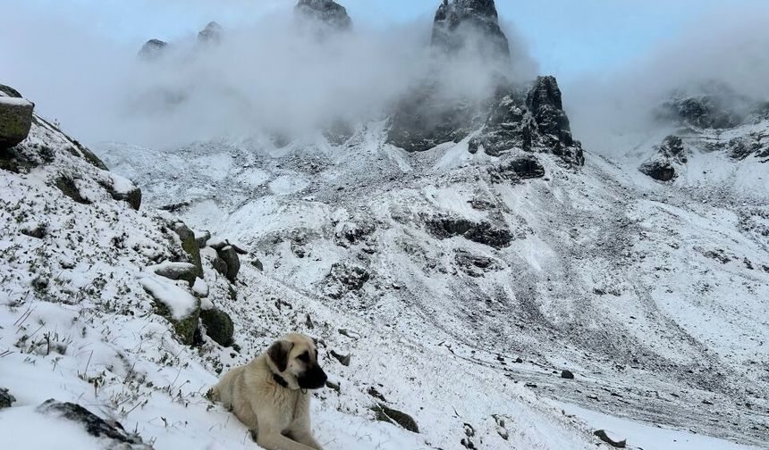 Rize'de Kaçkar Dağları beyaza büründü