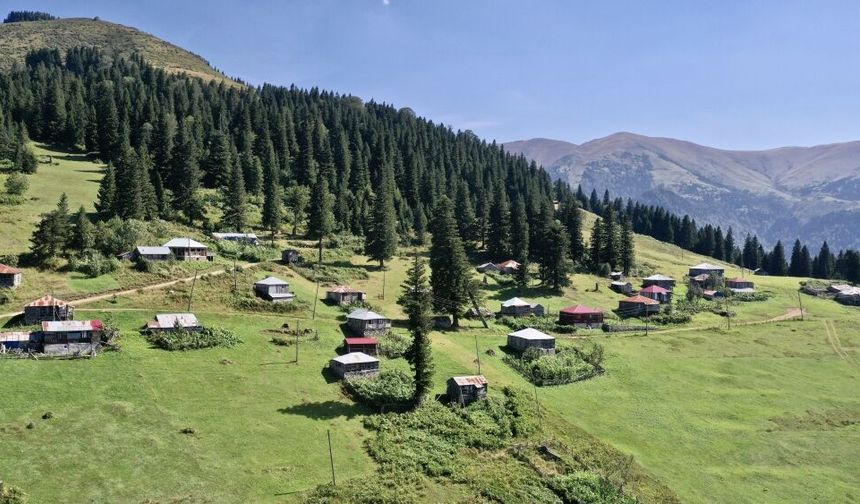 Kültür, tarih ve doğanın buluştuğu nokta: Yağlıdere Vadisi