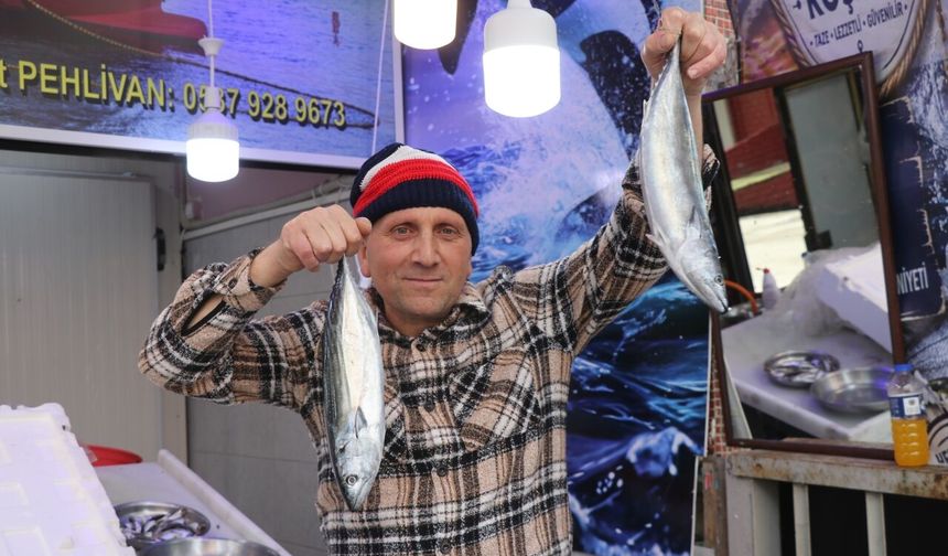 Karadeniz'de palamut bolluğu Rize'de tezgahlara yansıdı