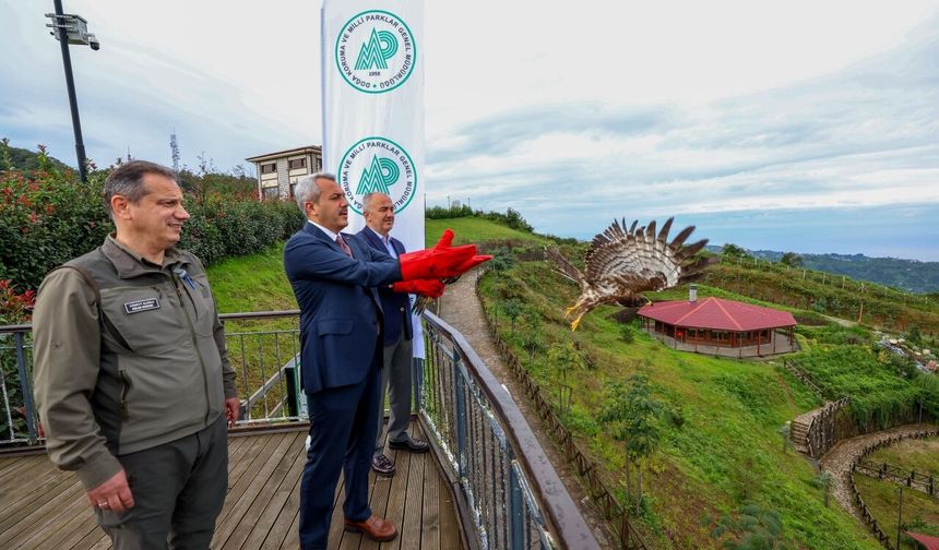 Rize'de tedavisi tamamlanan arı şahinleri çip takılarak doğaya salındı