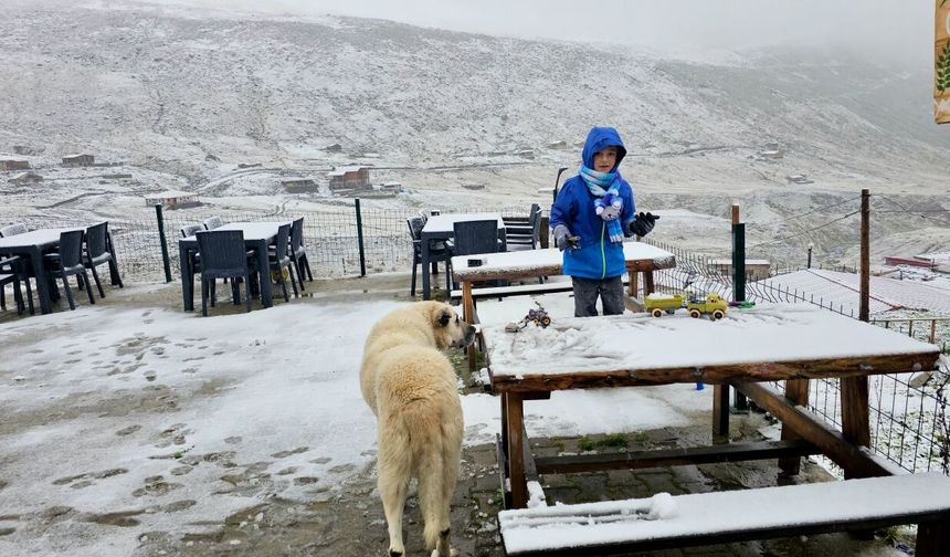 Rize'nin yüksek kesimleri karladı