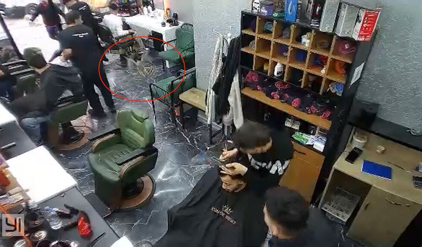 Atmaca, kuşu avlamak için berber dükkanına girdi