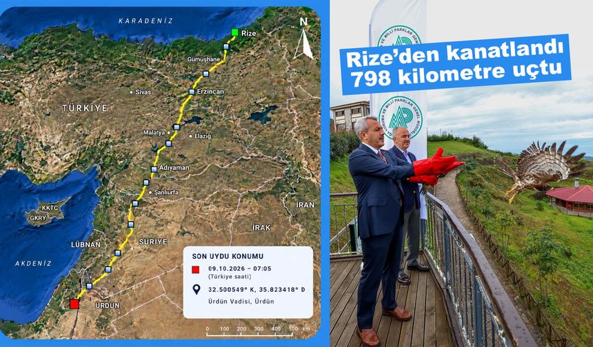 Rize’den Doğaya Salınan Arı Şahini 9 Günde Ürdün’e Ulaştı