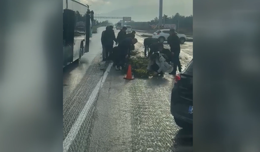 Erzurum'da kamyonetten yola dökülen meyveleri vatandaşlar topladı