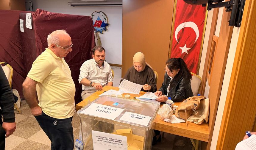 Çayeli TSO Seçimlerinde Meslek Grubu Sonuçları Netleşti